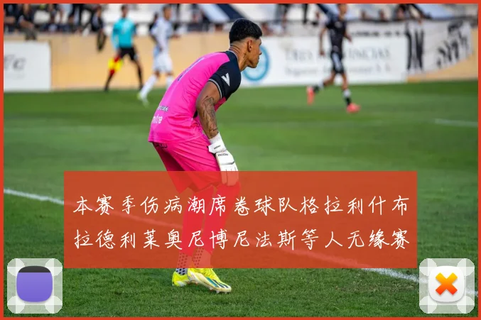 本赛季伤病潮席卷球队格拉利什布拉德利莱奥尼博尼法斯等人无缘赛季余下比赛