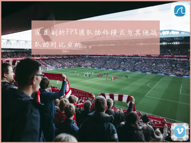 深度剖析FPX团队协作模式与其他战队的对比分析