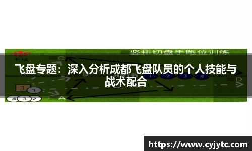 飞盘专题：深入分析成都飞盘队员的个人技能与战术配合