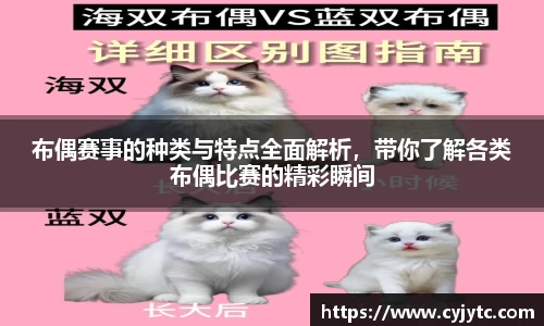 布偶赛事的种类与特点全面解析，带你了解各类布偶比赛的精彩瞬间