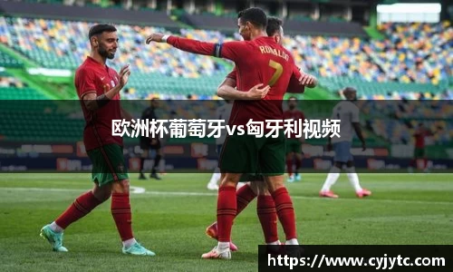 欧洲杯葡萄牙vs匈牙利视频