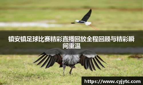 一竞技平台