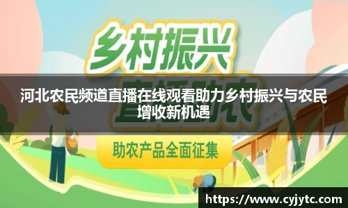 河北农民频道直播在线观看助力乡村振兴与农民增收新机遇