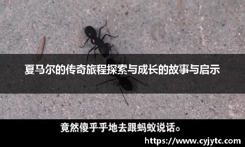 夏马尔的传奇旅程探索与成长的故事与启示